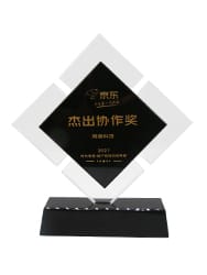 2021年度京東杰出協作獎